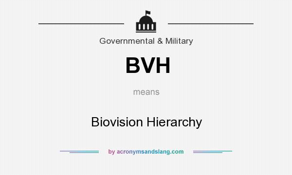 What does BVH mean? It stands for Biovision Hierarchy