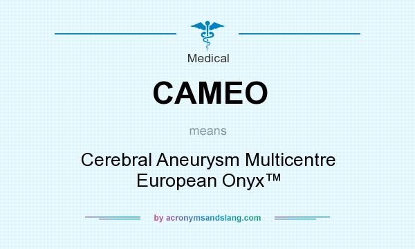 What does CAMEO mean? It stands for Cerebral Aneurysm Multicentre European Onyx™