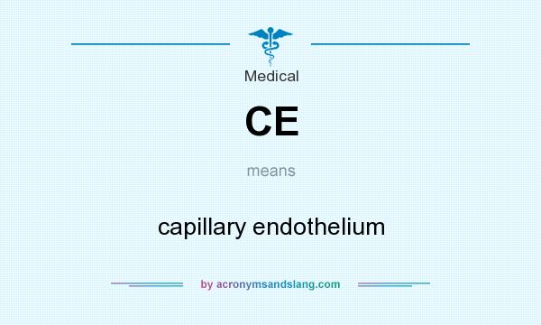 What does CE mean? It stands for capillary endothelium