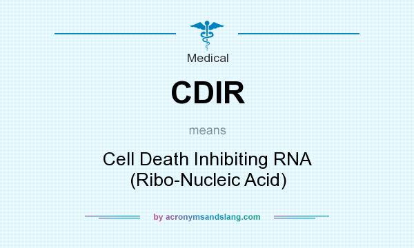What does CDIR mean? It stands for Cell Death Inhibiting RNA (Ribo-Nucleic Acid)