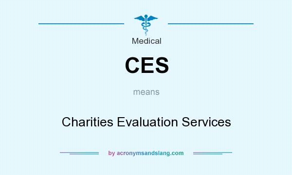 What does CES mean? It stands for Charities Evaluation Services
