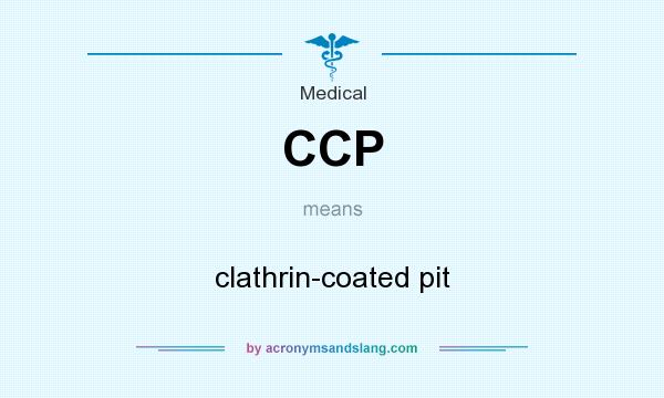 What does CCP mean? It stands for clathrin-coated pit