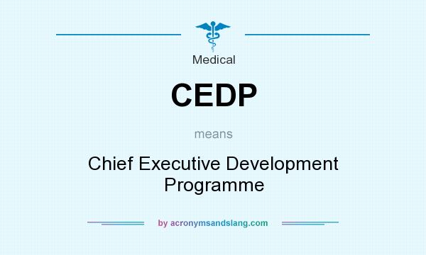 What does CEDP mean? It stands for Chief Executive Development Programme