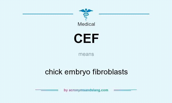 What does CEF mean? It stands for chick embryo fibroblasts