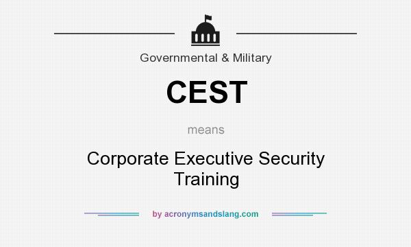 What does CEST mean? It stands for Corporate Executive Security Training