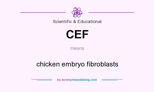 What does CEF mean? It stands for chicken embryo fibroblasts