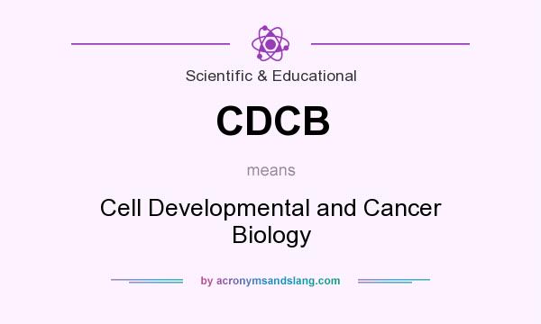 What does CDCB mean? It stands for Cell Developmental and Cancer Biology