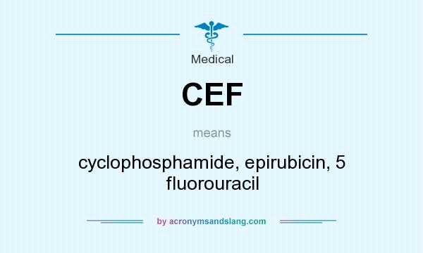 What does CEF mean? It stands for cyclophosphamide, epirubicin, 5 fluorouracil