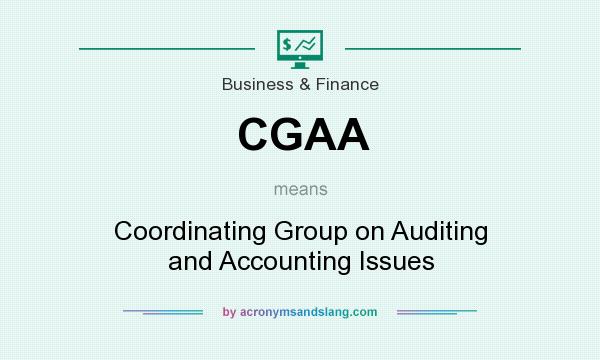What does CGAA mean? It stands for Coordinating Group on Auditing and Accounting Issues