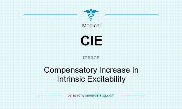 What does CIE mean? It stands for Compensatory Increase in Intrinsic Excitability