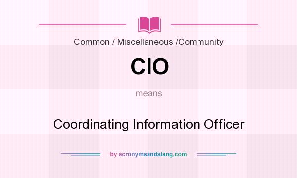 What does CIO mean? It stands for Coordinating Information Officer