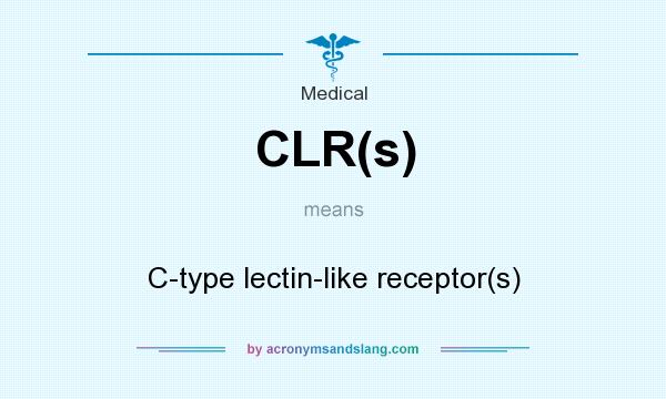What does CLR(s) mean? It stands for C-type lectin-like receptor(s)