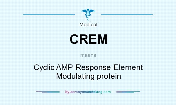 What does CREM mean? It stands for Cyclic AMP-Response-Element Modulating protein