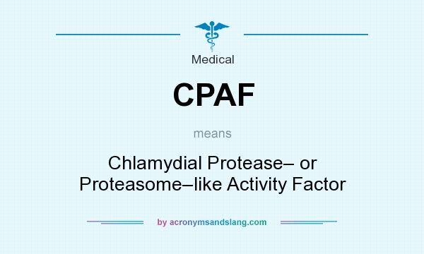 What does CPAF mean? It stands for Chlamydial Protease– or Proteasome–like Activity Factor