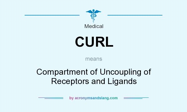 What does CURL mean? It stands for Compartment of Uncoupling of Receptors and Ligands