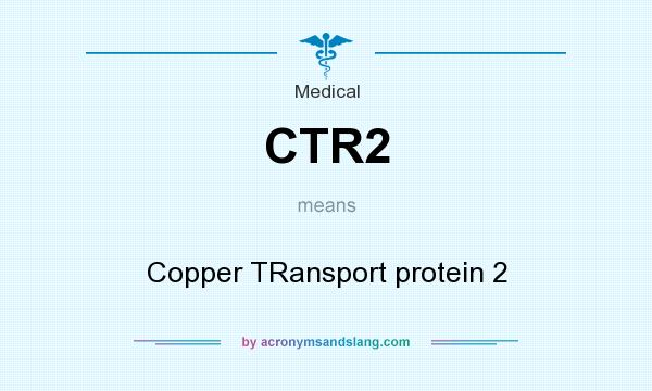 What does CTR2 mean? It stands for Copper TRansport protein 2