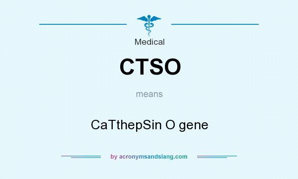 What does CTSO mean? It stands for CaTthepSin O gene