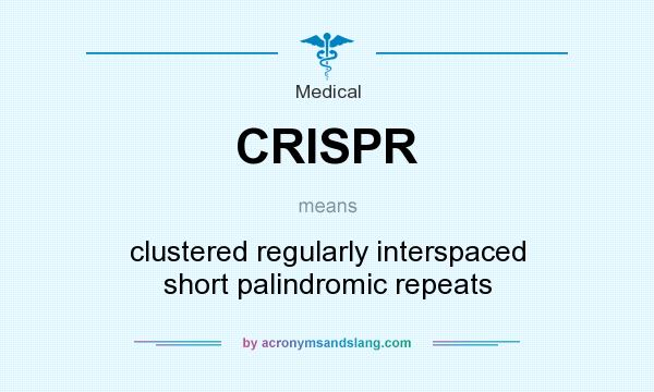 What does CRISPR mean? It stands for clustered regularly interspaced short palindromic repeats