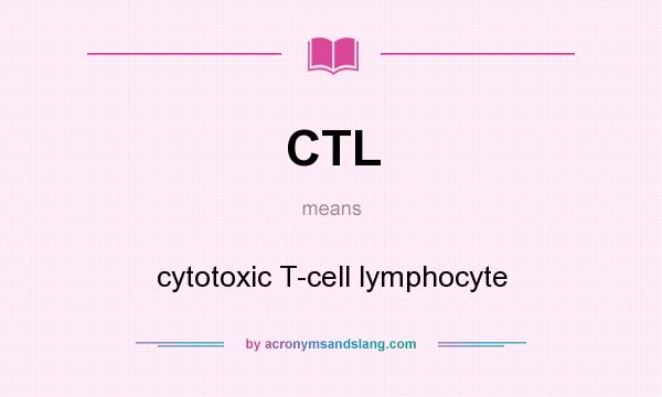 What does CTL mean? It stands for cytotoxic T-cell lymphocyte