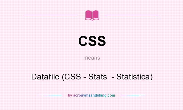 What does CSS mean? It stands for Datafile (CSS - Stats  - Statistica)