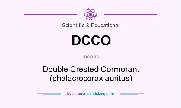 What does DCCO mean? It stands for Double Crested Cormorant (phalacrocorax auritus)
