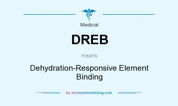 What does DREB mean? It stands for Dehydration-Responsive Element Binding