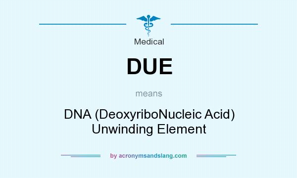 What does DUE mean? It stands for DNA (DeoxyriboNucleic Acid) Unwinding Element