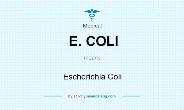 What does E. COLI mean? It stands for Escherichia Coli