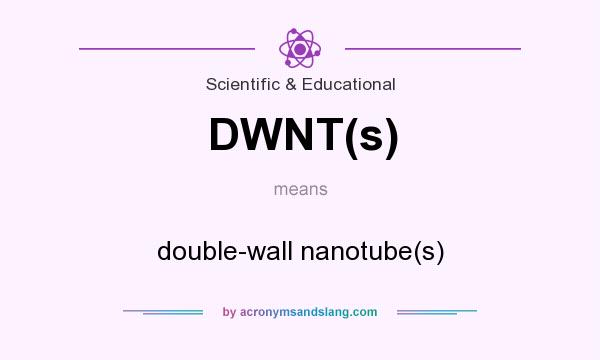 What does DWNT(s) mean? It stands for double-wall nanotube(s)