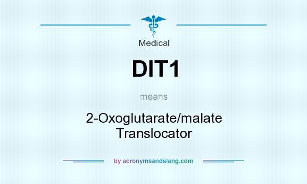 What does DIT1 mean? It stands for 2-Oxoglutarate/malate Translocator