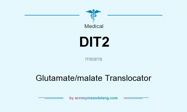 What does DIT2 mean? It stands for Glutamate/malate Translocator