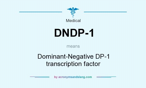 What does DNDP-1 mean? It stands for Dominant-Negative DP-1 transcription factor