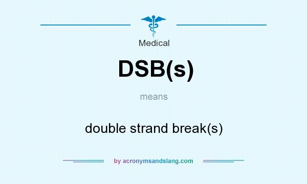 What does DSB(s) mean? It stands for double strand break(s)