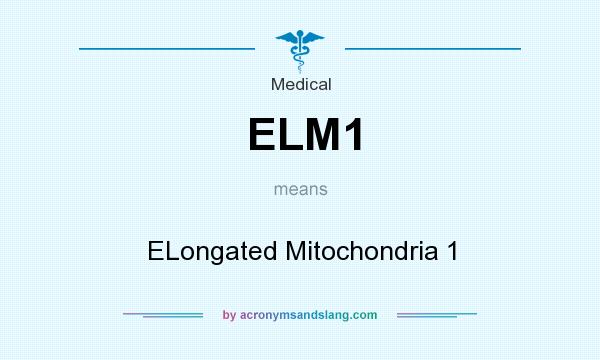 What does ELM1 mean? It stands for ELongated Mitochondria 1