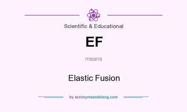 What does EF mean? It stands for Elastic Fusion