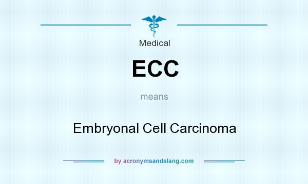 What does ECC mean? It stands for Embryonal Cell Carcinoma
