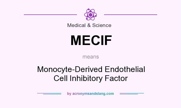 What does MECIF mean? It stands for Monocyte-Derived Endothelial Cell Inhibitory Factor