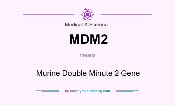 What does MDM2 mean? It stands for Murine Double Minute 2 Gene
