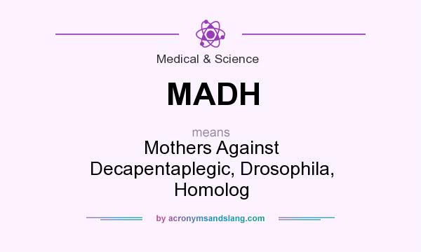 What does MADH mean? It stands for Mothers Against Decapentaplegic, Drosophila, Homolog