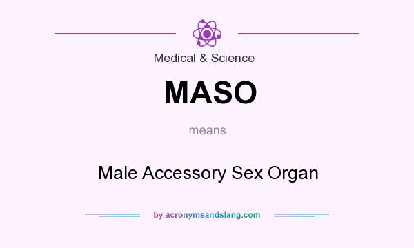 What does MASO mean? It stands for Male Accessory Sex Organ