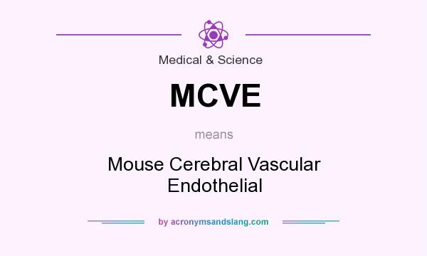 What does MCVE mean? It stands for Mouse Cerebral Vascular Endothelial