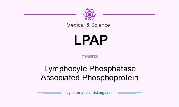 What does LPAP mean? It stands for Lymphocyte Phosphatase Associated Phosphoprotein