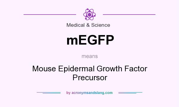 What does mEGFP mean? It stands for Mouse Epidermal Growth Factor Precursor