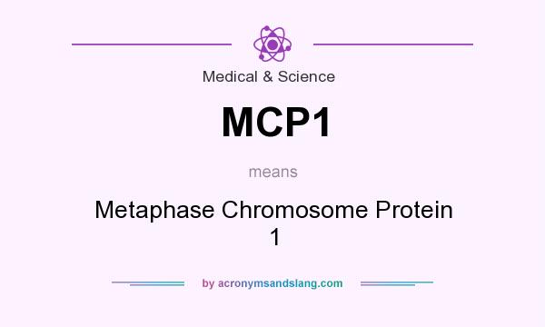 What does MCP1 mean? It stands for Metaphase Chromosome Protein 1