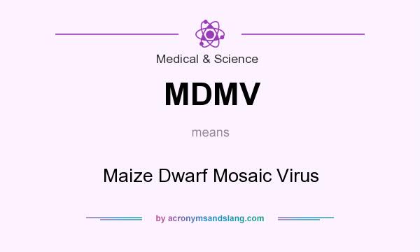 What does MDMV mean? It stands for Maize Dwarf Mosaic Virus