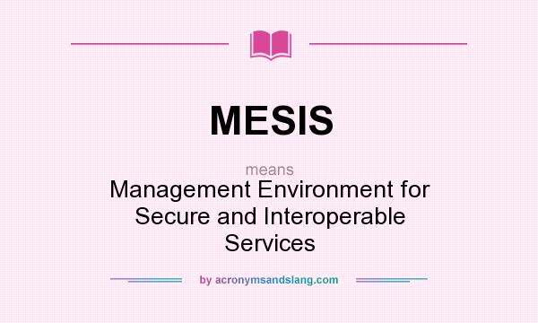 What does MESIS mean? It stands for Management Environment for Secure and Interoperable Services