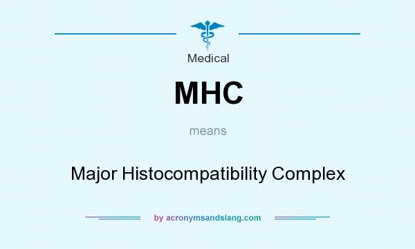 What does MHC mean? It stands for Major Histocompatibility Complex