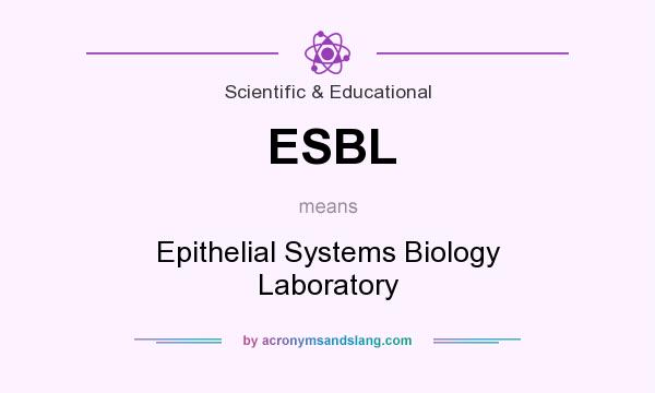 What does ESBL mean? It stands for Epithelial Systems Biology Laboratory