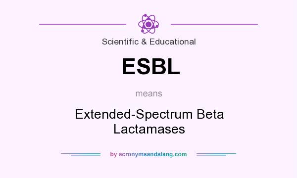 What does ESBL mean? It stands for Extended-Spectrum Beta Lactamases