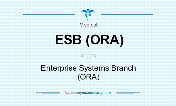 What does ESB (ORA) mean? It stands for Enterprise Systems Branch (ORA)